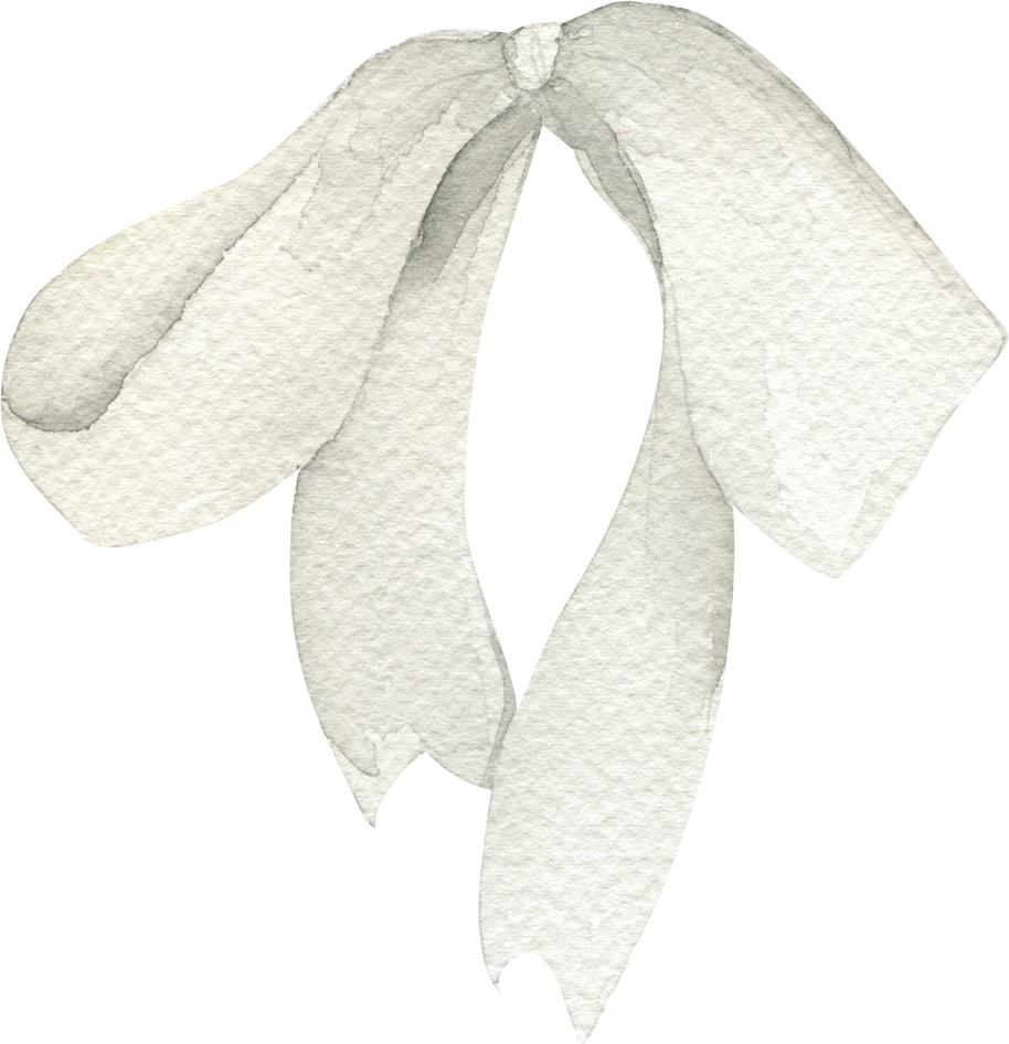 White Bow Watercolor Illustration